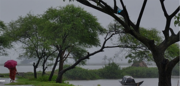 প্রধান উপদেষ্টা পদত্যাগ করবেন না: ফাইজ তাইয়েব আহমেদ প্রধান উপদেষ্টা পদত্যাগ করবেন না: ফাইজ তাইয়েব আহমেদ