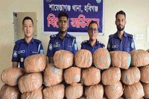 ঢাকা-সিলেট মহাসড়কের শায়েস্তাগঞ্জে ৭০ কেজি গাঁজা উদ্ধার