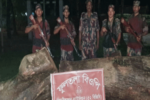 জুড়ী সীমান্তে বিজিবির অভিযানে দেড় লাখ টাকার গোল কাঠ উদ্ধার