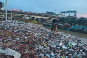 দখল আর দূষণে হারিয়ে যাচ্ছে সোনাই নদীর যৌবন
