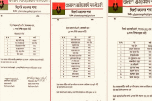 সিলেট মহানগর বিএনপির অন্তর্গত ৩টি থানা কমিটি অনুমোদন