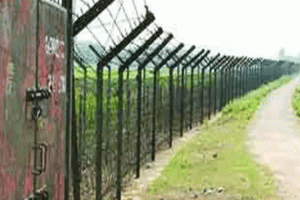 বড়লেখা সীমান্তে ১২ রোহিঙ্গাকে ভারতের পুশইন