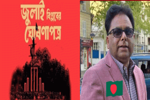 জুলাই ঘোষণা ও ডেভিড বার্গম্যানের মন্তব্য
