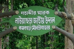লাউয়াছড়া জাতীয় উদ্যানে গাড়ি পার্কিংয়ে নিষেধাজ্ঞা