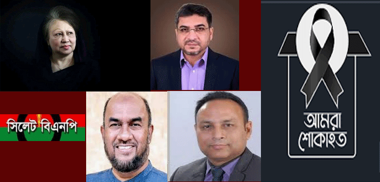 প্রধান উপদেষ্টা পদত্যাগ করবেন না: ফাইজ তাইয়েব আহমেদ