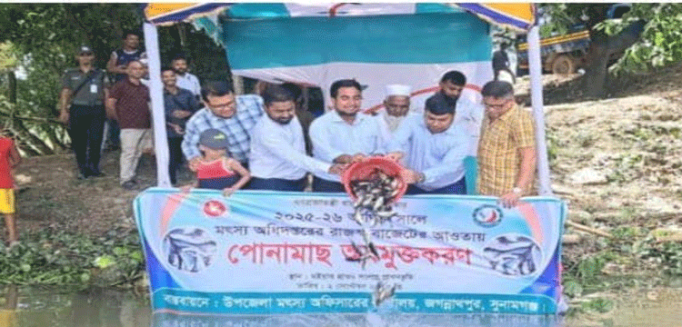 প্রধান উপদেষ্টা পদত্যাগ করবেন না: ফাইজ তাইয়েব আহমেদ