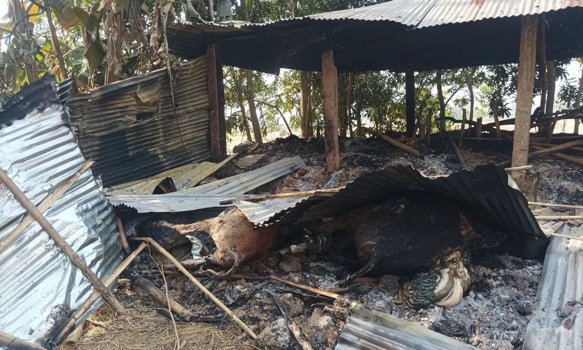 প্রধান উপদেষ্টা পদত্যাগ করবেন না: ফাইজ তাইয়েব আহমেদ