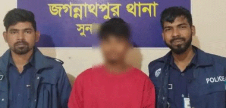 প্রধান উপদেষ্টা পদত্যাগ করবেন না: ফাইজ তাইয়েব আহমেদ