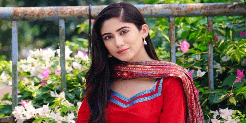 প্রধান উপদেষ্টা পদত্যাগ করবেন না: ফাইজ তাইয়েব আহমেদ