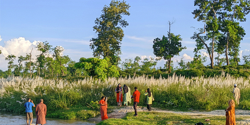 প্রধান উপদেষ্টা পদত্যাগ করবেন না: ফাইজ তাইয়েব আহমেদ