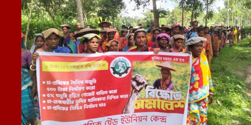 প্রধান উপদেষ্টা পদত্যাগ করবেন না: ফাইজ তাইয়েব আহমেদ
