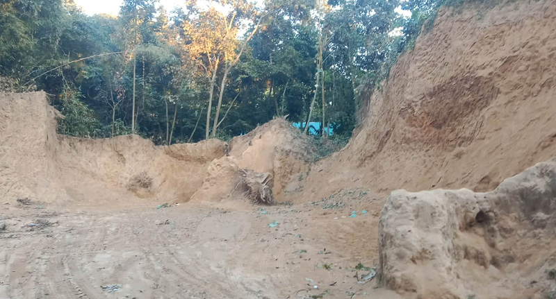 প্রধান উপদেষ্টা পদত্যাগ করবেন না: ফাইজ তাইয়েব আহমেদ