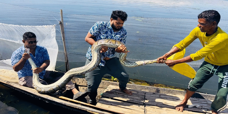 প্রধান উপদেষ্টা পদত্যাগ করবেন না: ফাইজ তাইয়েব আহমেদ