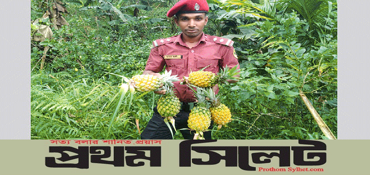 প্রধান উপদেষ্টা পদত্যাগ করবেন না: ফাইজ তাইয়েব আহমেদ