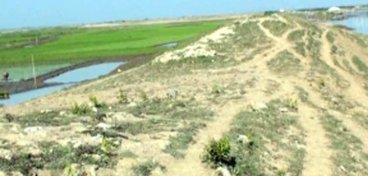 প্রধান উপদেষ্টা পদত্যাগ করবেন না: ফাইজ তাইয়েব আহমেদ