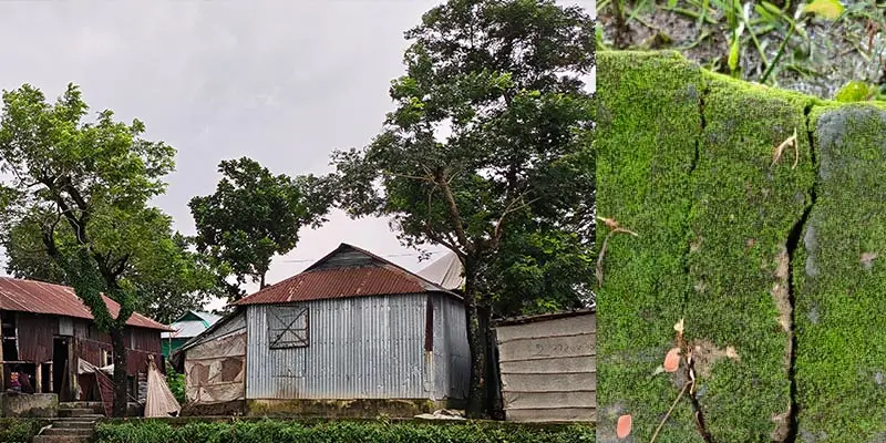 প্রধান উপদেষ্টা পদত্যাগ করবেন না: ফাইজ তাইয়েব আহমেদ