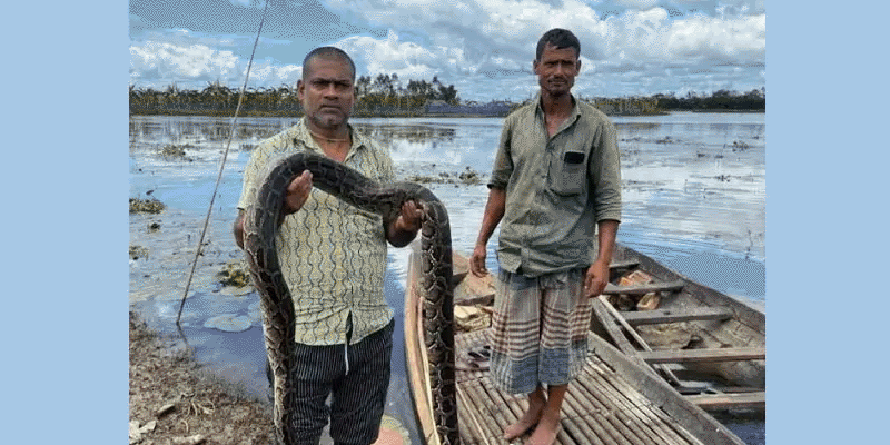 প্রধান উপদেষ্টা পদত্যাগ করবেন না: ফাইজ তাইয়েব আহমেদ