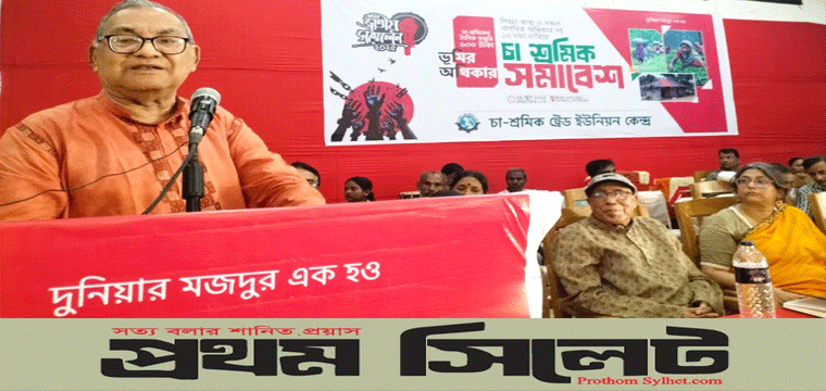প্রধান উপদেষ্টা পদত্যাগ করবেন না: ফাইজ তাইয়েব আহমেদ
