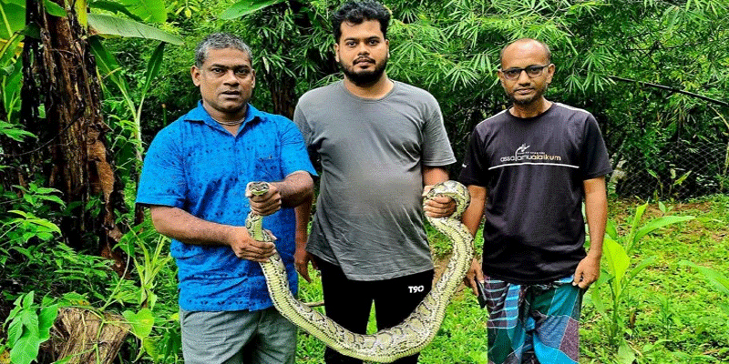 প্রধান উপদেষ্টা পদত্যাগ করবেন না: ফাইজ তাইয়েব আহমেদ