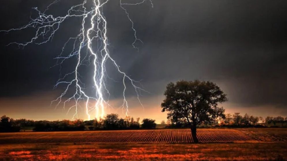 প্রধান উপদেষ্টা পদত্যাগ করবেন না: ফাইজ তাইয়েব আহমেদ