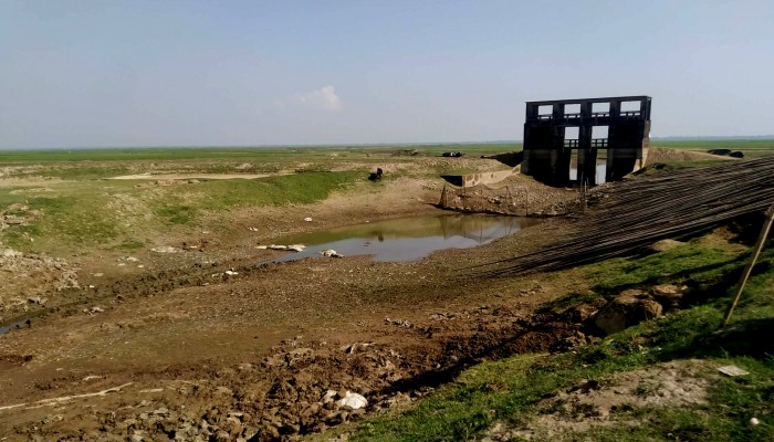 প্রধান উপদেষ্টা পদত্যাগ করবেন না: ফাইজ তাইয়েব আহমেদ