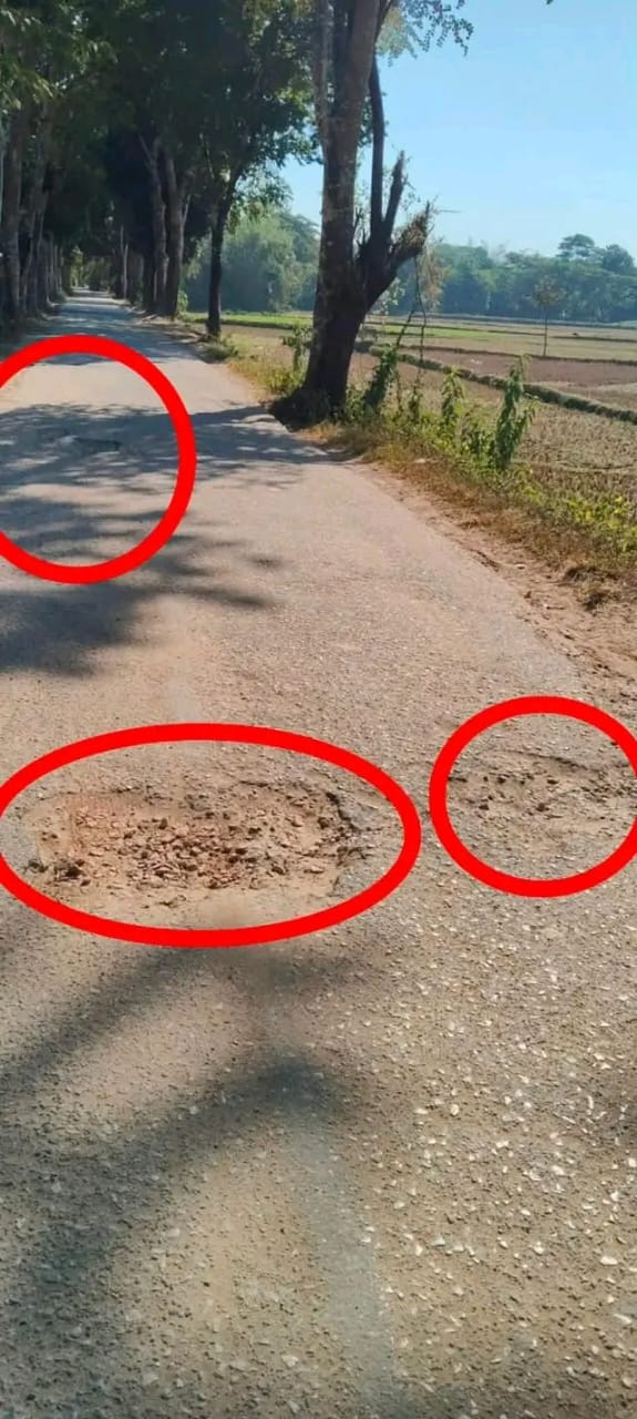 প্রধান উপদেষ্টা পদত্যাগ করবেন না: ফাইজ তাইয়েব আহমেদ