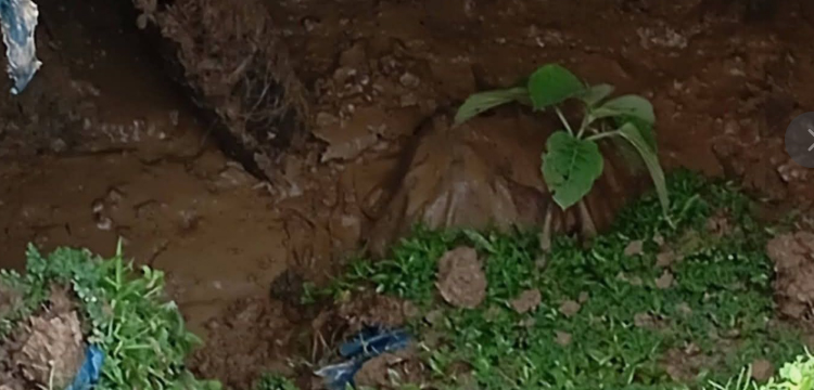 প্রধান উপদেষ্টা পদত্যাগ করবেন না: ফাইজ তাইয়েব আহমেদ