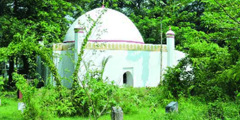 প্রধান উপদেষ্টা পদত্যাগ করবেন না: ফাইজ তাইয়েব আহমেদ
