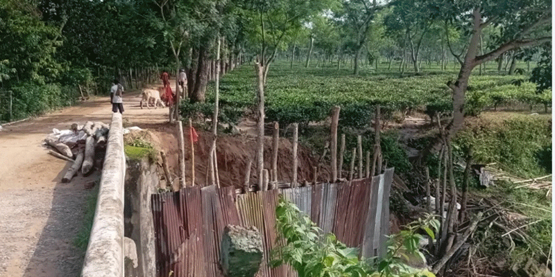প্রধান উপদেষ্টা পদত্যাগ করবেন না: ফাইজ তাইয়েব আহমেদ