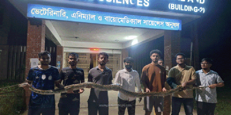 প্রধান উপদেষ্টা পদত্যাগ করবেন না: ফাইজ তাইয়েব আহমেদ