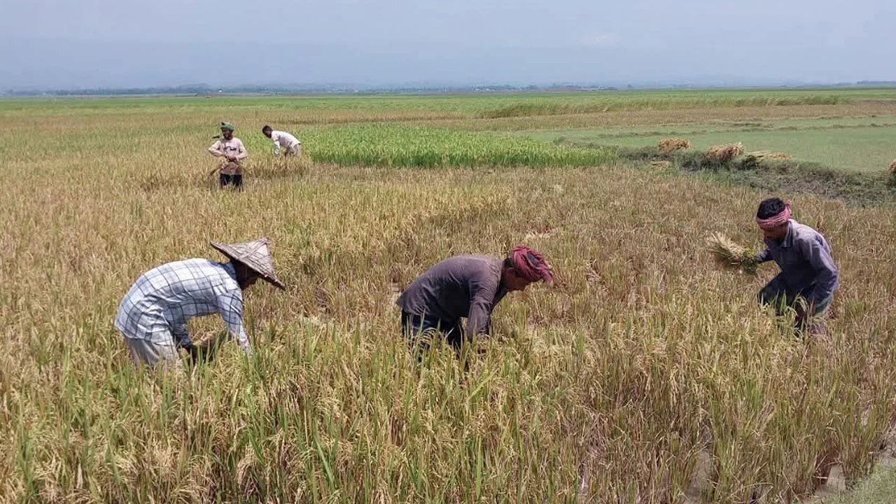 প্রধান উপদেষ্টা পদত্যাগ করবেন না: ফাইজ তাইয়েব আহমেদ