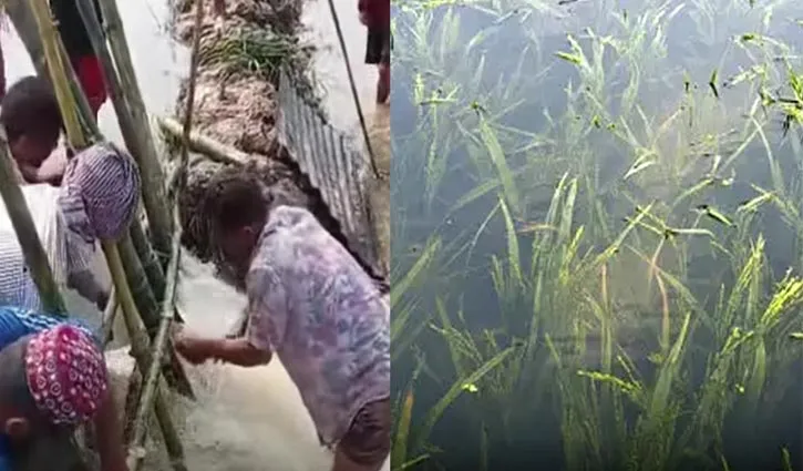 প্রধান উপদেষ্টা পদত্যাগ করবেন না: ফাইজ তাইয়েব আহমেদ