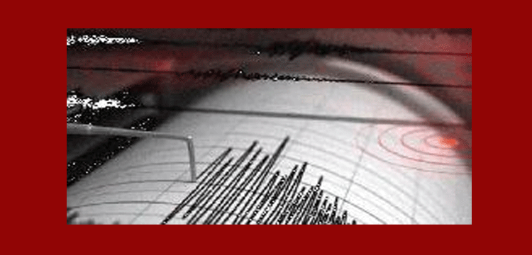 প্রধান উপদেষ্টা পদত্যাগ করবেন না: ফাইজ তাইয়েব আহমেদ