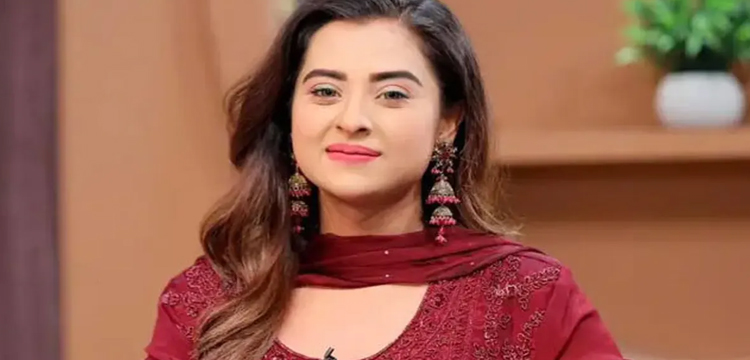 প্রধান উপদেষ্টা পদত্যাগ করবেন না: ফাইজ তাইয়েব আহমেদ