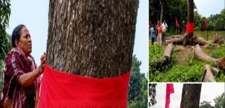 প্রধান উপদেষ্টা পদত্যাগ করবেন না: ফাইজ তাইয়েব আহমেদ