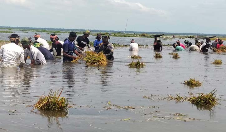 প্রধান উপদেষ্টা পদত্যাগ করবেন না: ফাইজ তাইয়েব আহমেদ