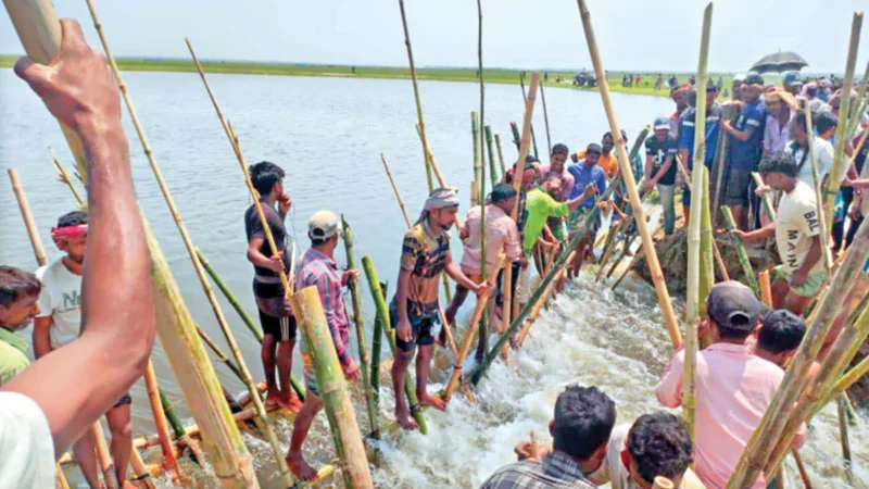 প্রধান উপদেষ্টা পদত্যাগ করবেন না: ফাইজ তাইয়েব আহমেদ