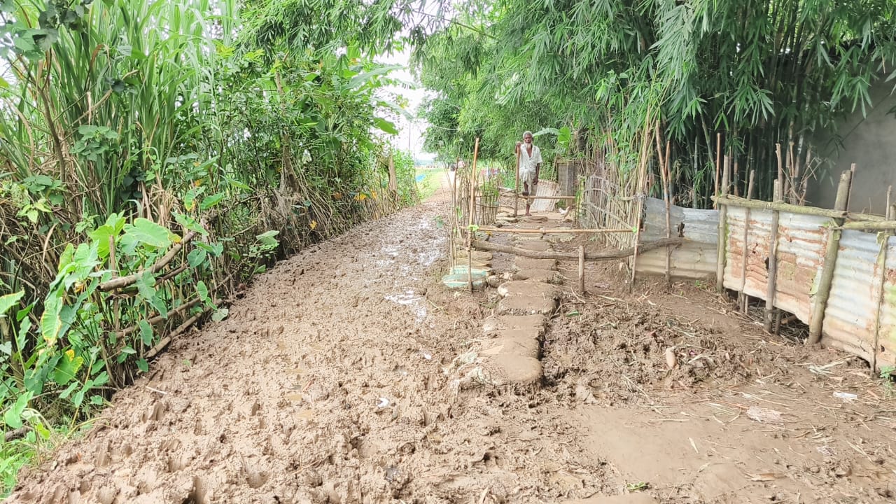 প্রধান উপদেষ্টা পদত্যাগ করবেন না: ফাইজ তাইয়েব আহমেদ