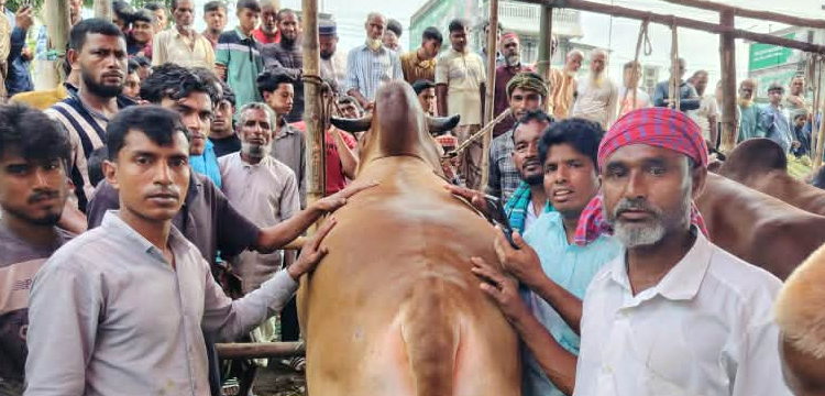 প্রধান উপদেষ্টা পদত্যাগ করবেন না: ফাইজ তাইয়েব আহমেদ
