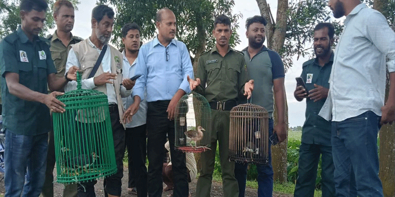 প্রধান উপদেষ্টা পদত্যাগ করবেন না: ফাইজ তাইয়েব আহমেদ