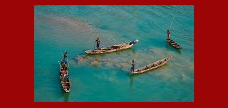 প্রধান উপদেষ্টা পদত্যাগ করবেন না: ফাইজ তাইয়েব আহমেদ