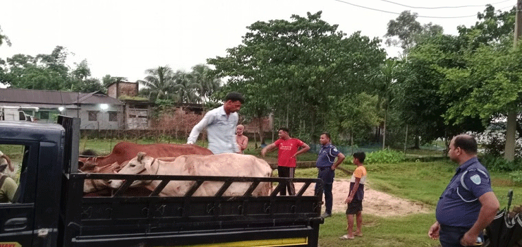 প্রধান উপদেষ্টা পদত্যাগ করবেন না: ফাইজ তাইয়েব আহমেদ