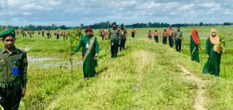 প্রধান উপদেষ্টা পদত্যাগ করবেন না: ফাইজ তাইয়েব আহমেদ