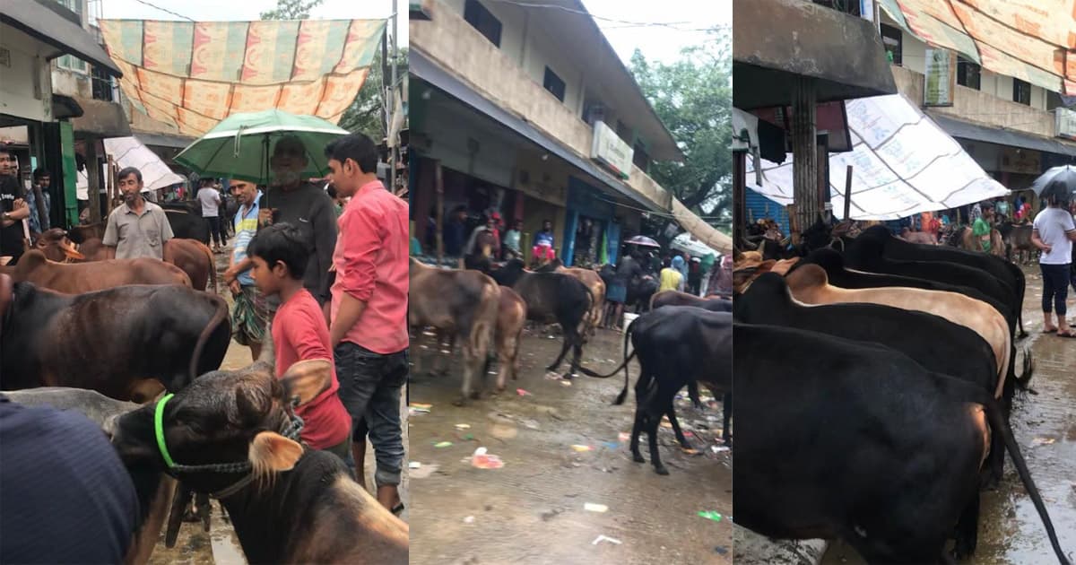 প্রধান উপদেষ্টা পদত্যাগ করবেন না: ফাইজ তাইয়েব আহমেদ