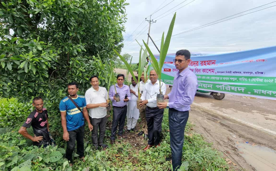 প্রধান উপদেষ্টা পদত্যাগ করবেন না: ফাইজ তাইয়েব আহমেদ