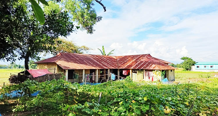 প্রধান উপদেষ্টা পদত্যাগ করবেন না: ফাইজ তাইয়েব আহমেদ