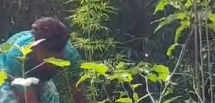 প্রধান উপদেষ্টা পদত্যাগ করবেন না: ফাইজ তাইয়েব আহমেদ