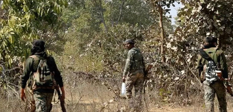 প্রধান উপদেষ্টা পদত্যাগ করবেন না: ফাইজ তাইয়েব আহমেদ