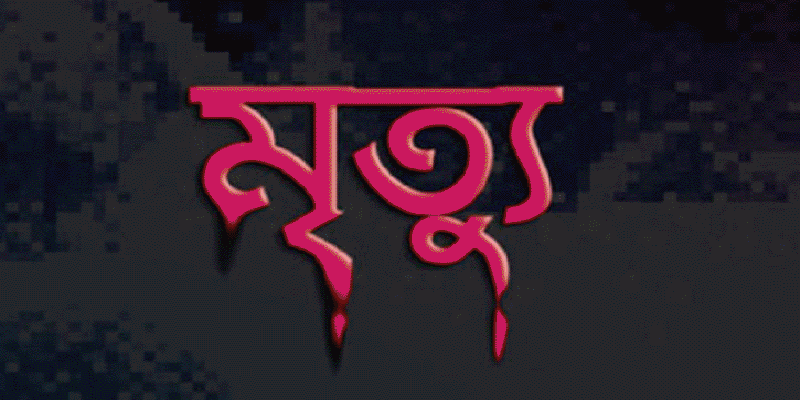প্রধান উপদেষ্টা পদত্যাগ করবেন না: ফাইজ তাইয়েব আহমেদ