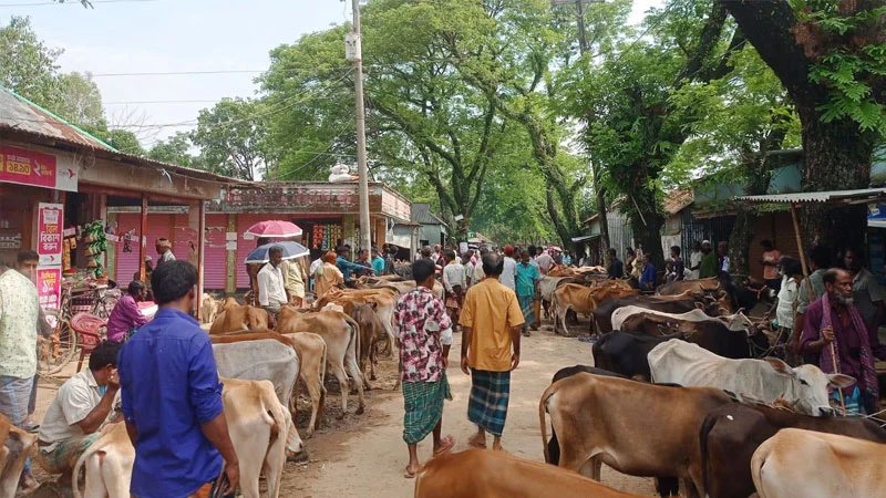 প্রধান উপদেষ্টা পদত্যাগ করবেন না: ফাইজ তাইয়েব আহমেদ